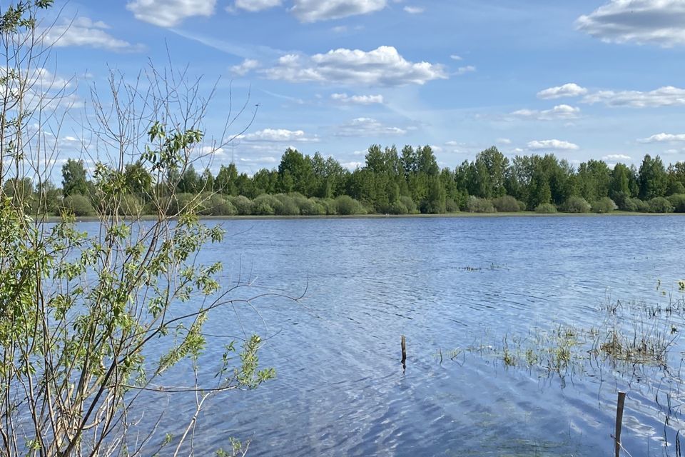 земля р-н Новгородский фото 10