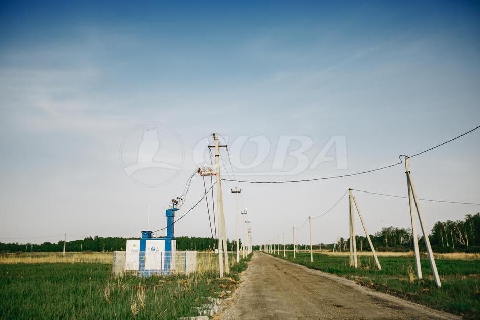 земля р-н Тюменский с Борки ул Советская 14 фото 6