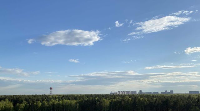 г Москва п Сосенское ул Большое Понизовье ТиНАО Новомосковский фото