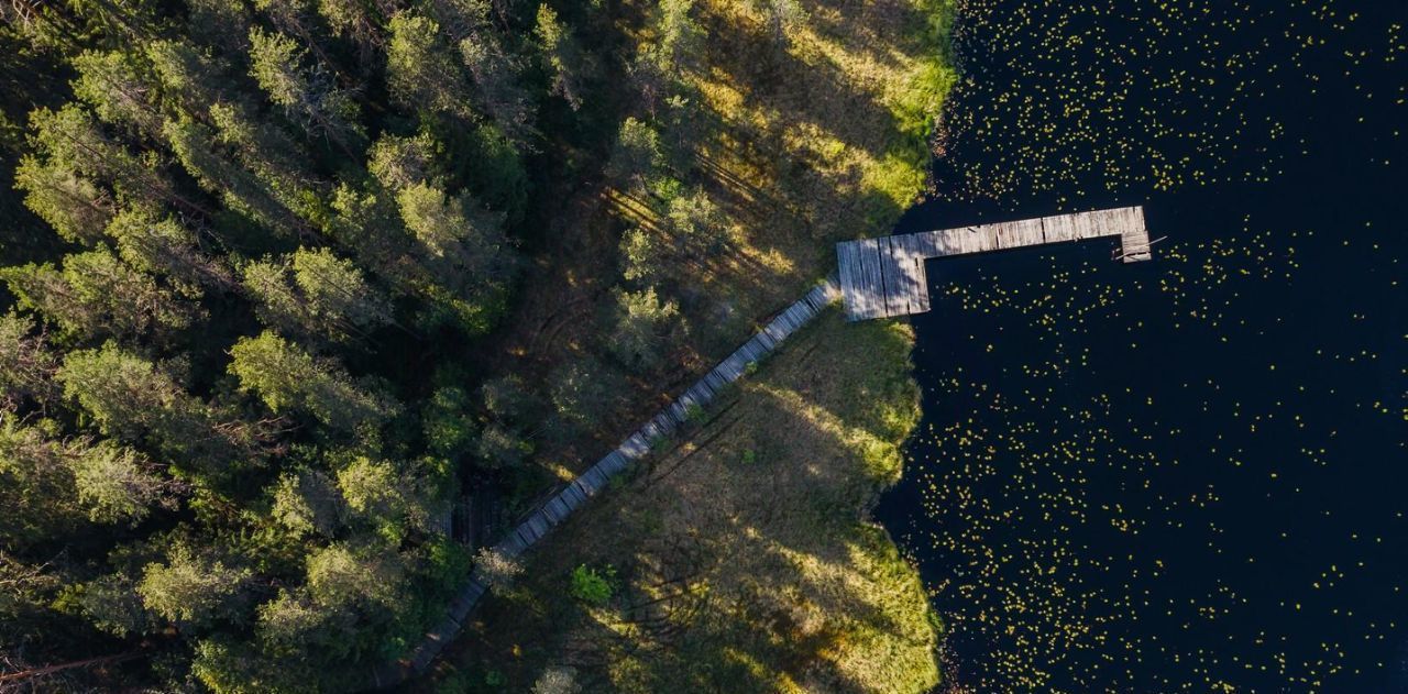 земля р-н Выборгский п Первомайское пос, Сабур-3 СНТ, 24 фото 16