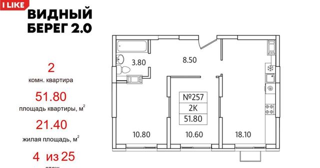 городской округ Ленинский д Сапроново мкр Купелинка ЖК «Видный Берег - 2» Битца фото