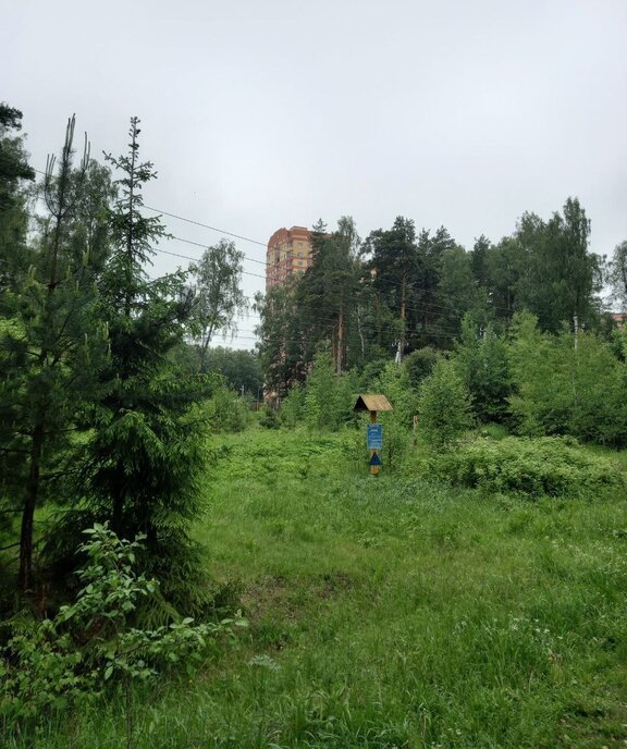 квартира городской округ Богородский д Щемилово ул Орлова 8 Новогиреево фото 15