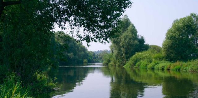 земля р-н Орловский д Медведево ул Цветочная фото 1