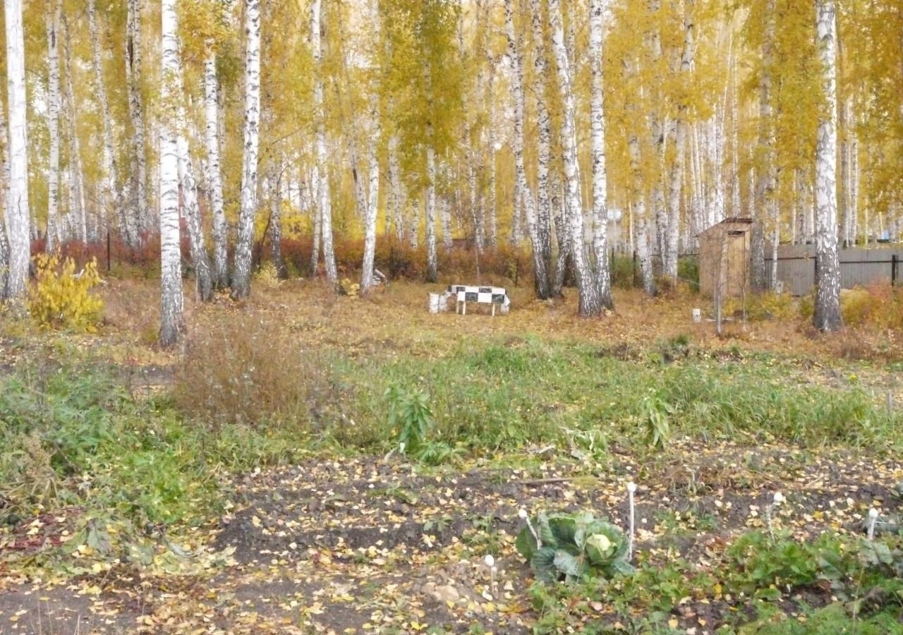 земля р-н Сосновский снт Курчатовец Алишевское сельское поселение, 63-й квартал, Полетаево фото 9