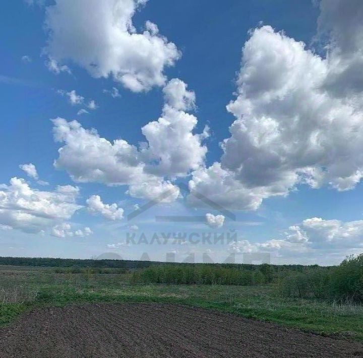 земля р-н Дзержинский д Староскаковское с пос, 48, Дворцы фото 6
