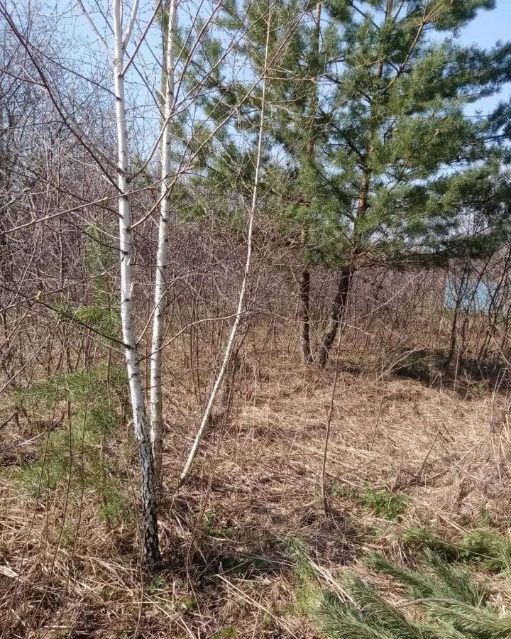 земля р-н Курский д Духовец снт Фиалка Моковский сельсовет, 153, Курск фото 2