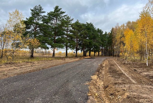 земля г Павловский Посад Мишутино ул Потапова фото