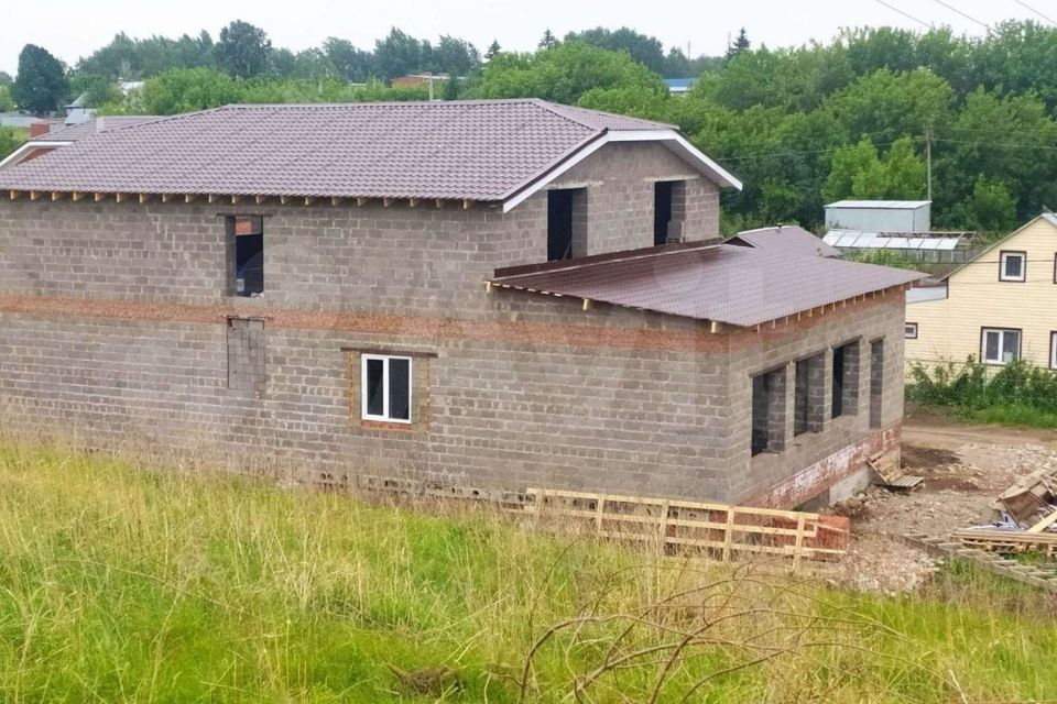 дом р-н Нижнекамский с Большое Афанасово ул Нижнекамская фото 4