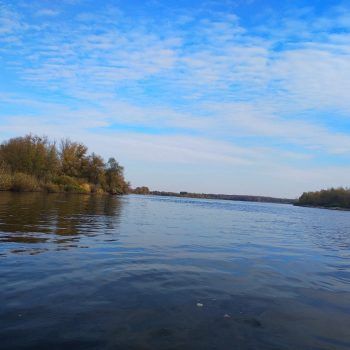 земля р-н Городищенский фото 1