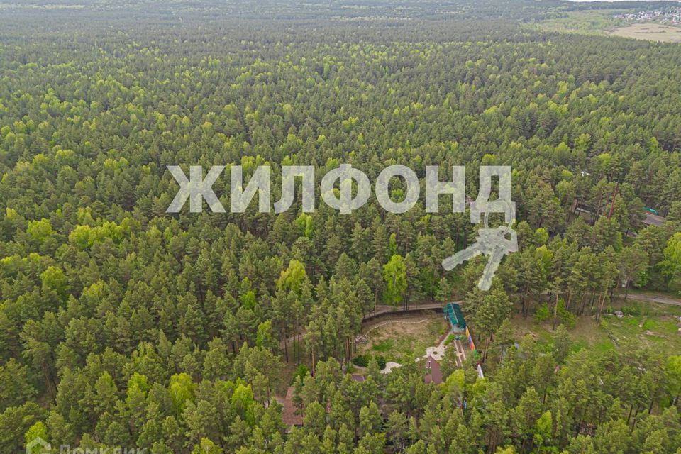 дом р-н Новосибирский фото 9