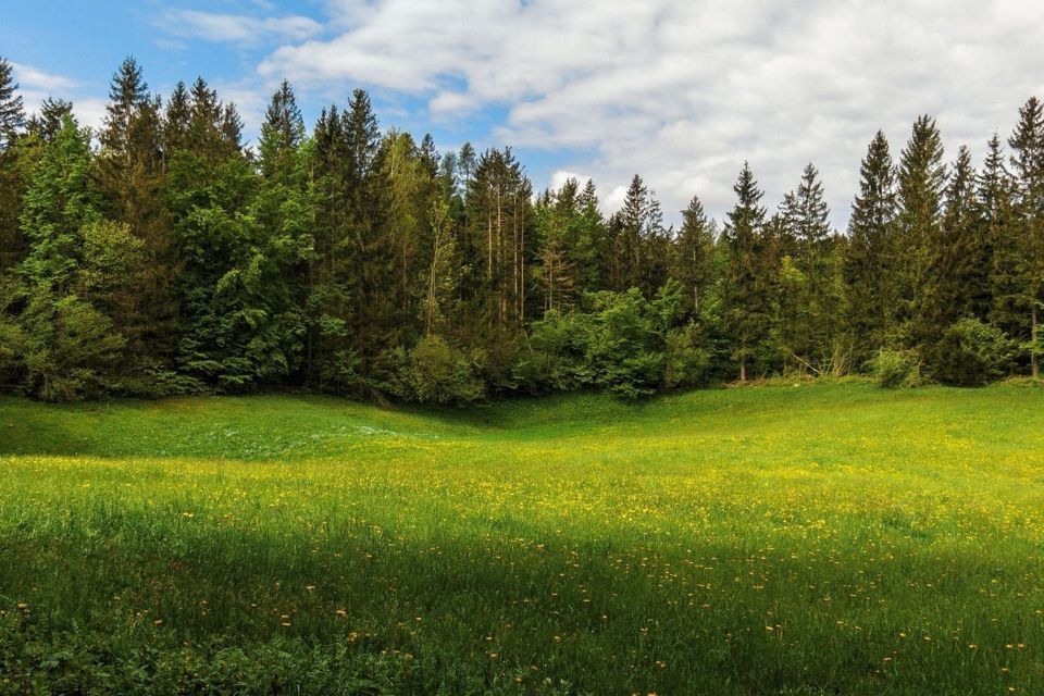 земля р-н Тюменский тер. ДНТ Воскресенье 2 фото 1