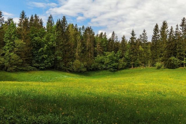 р-н Тюменский тер. ДНТ Воскресенье 2 фото