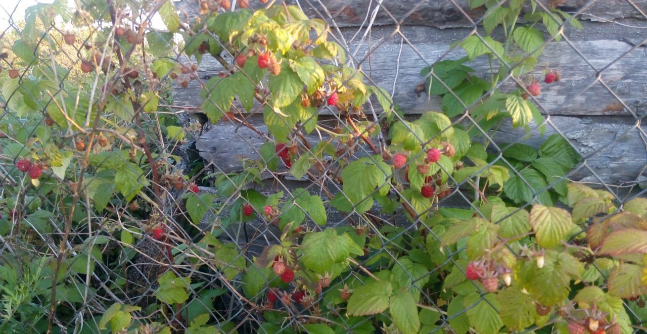 дом городской округ Наро-Фоминский г Верея садовое товарищество Ветеран, 448 фото 2