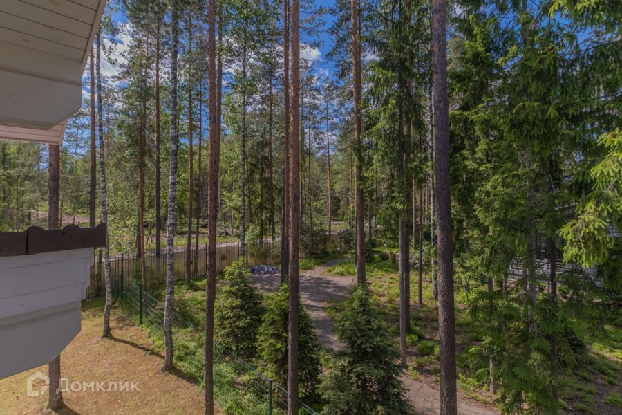 дом р-н Всеволожский д Медный Завод ул Петровская 5 фото 9