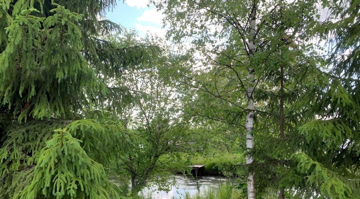 земля р-н Новгородский Панковское городское поселение, № 3 садоводческий массив, Локомотив садовое товарищество фото 6