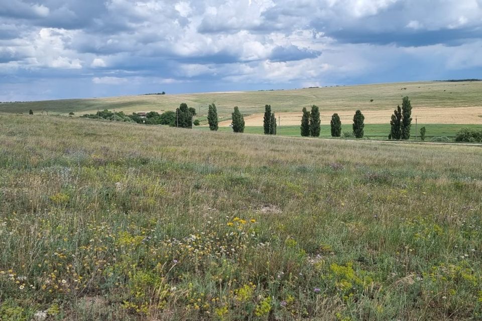 земля р-н Белогорский фото 2