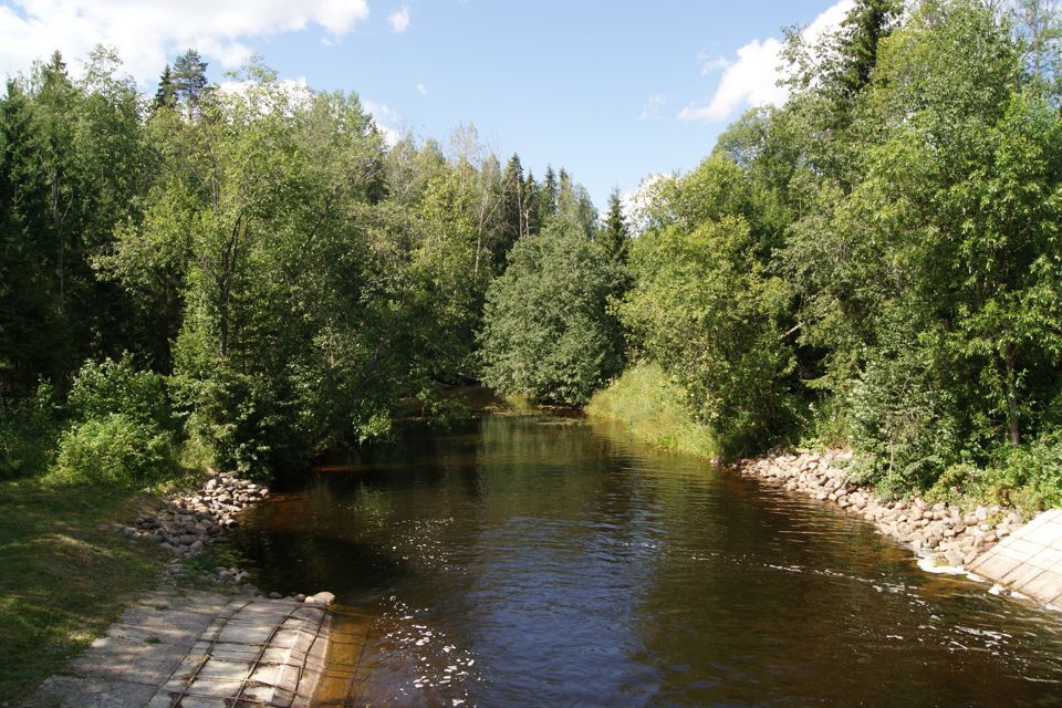 земля р-н Окуловский фото 8