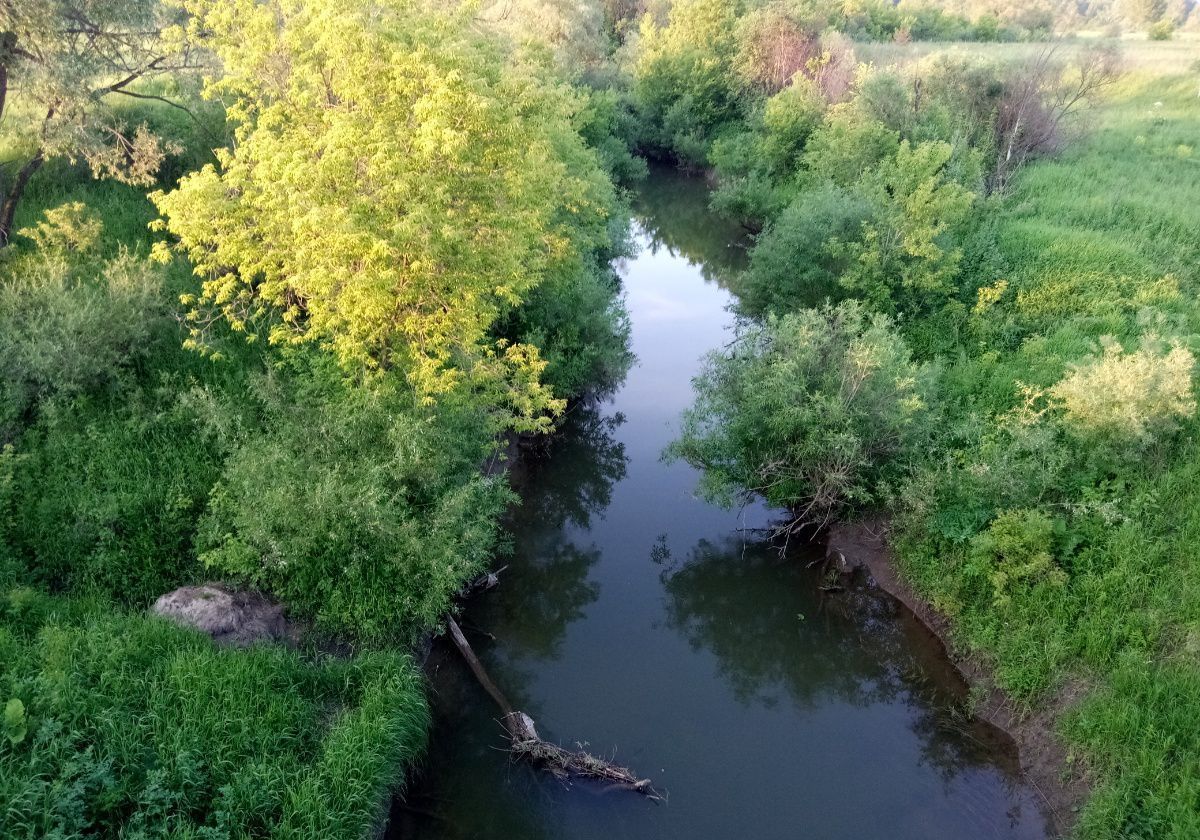 земля р-н Заринский Заринск фото 18