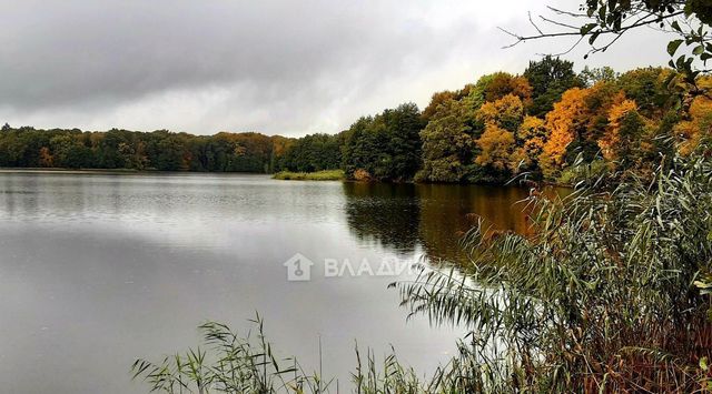 земля Зеленоградский муниципальный округ фото