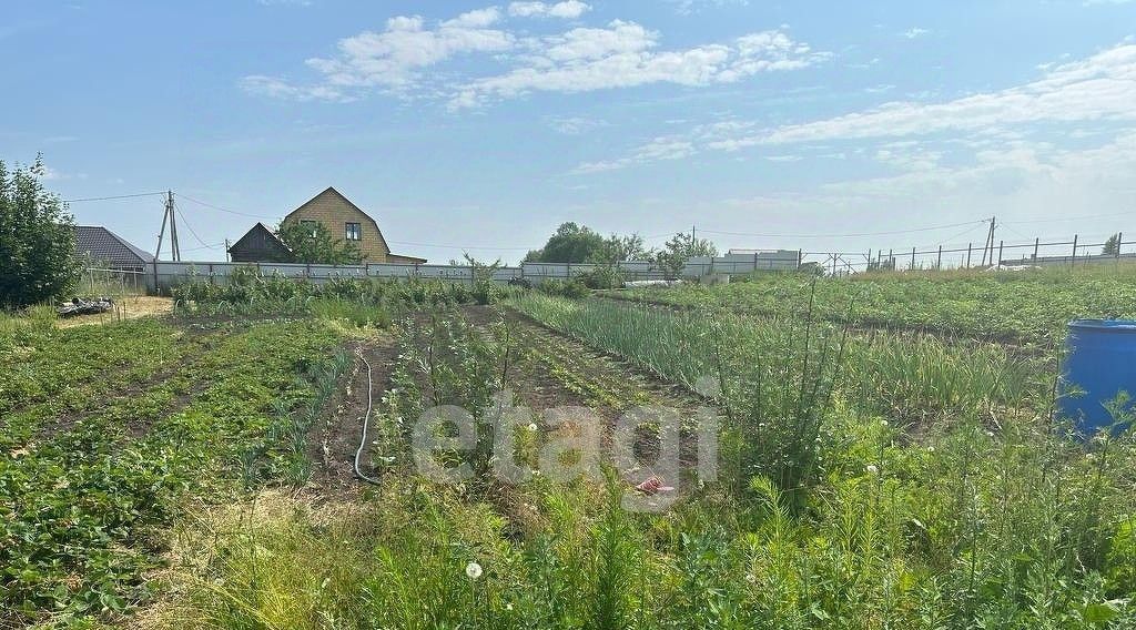 земля р-н Брянский с Толмачево ул Ромашина пос, Снежское с фото 1