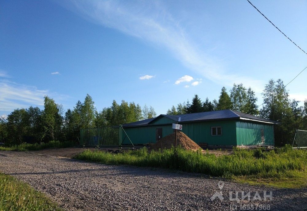 земля р-н Тосненский снт Родничок Форносовское городское поселение, Форносово фото 11