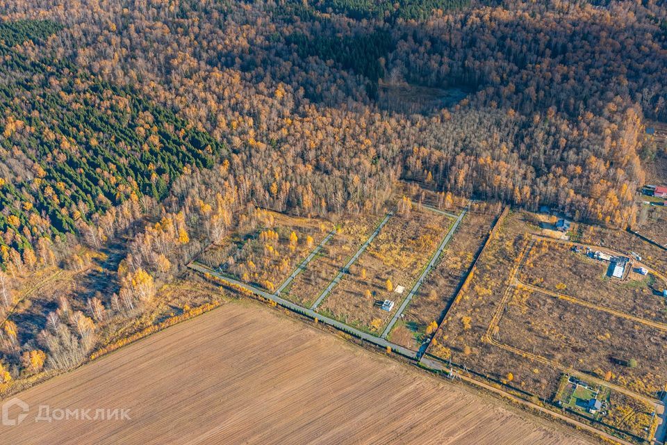 земля городской округ Дмитровский фото 2