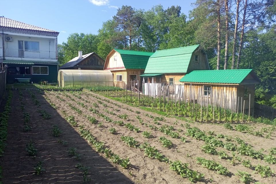 дом р-н Свободненский фото 1