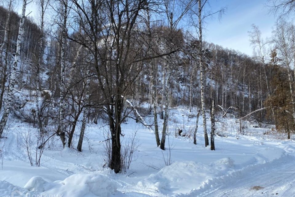 земля р-н Алтайский фото 4