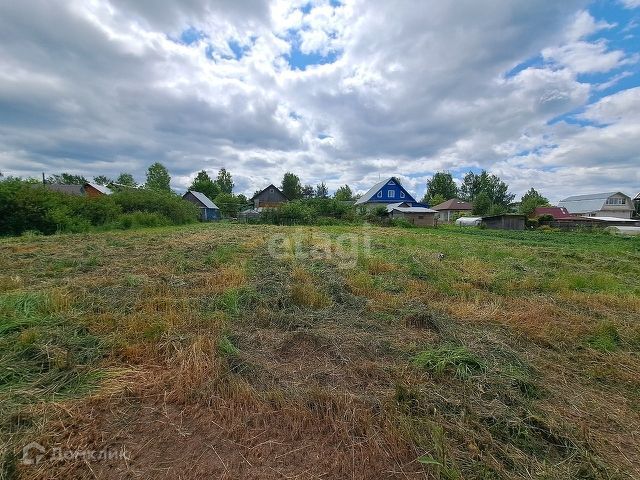 земля р-н Шекснинский фото 6