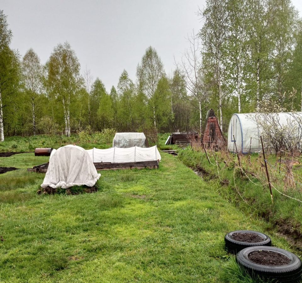 земля г Междуреченск садовое некоммерческое товарищество Красная ягода фото 4