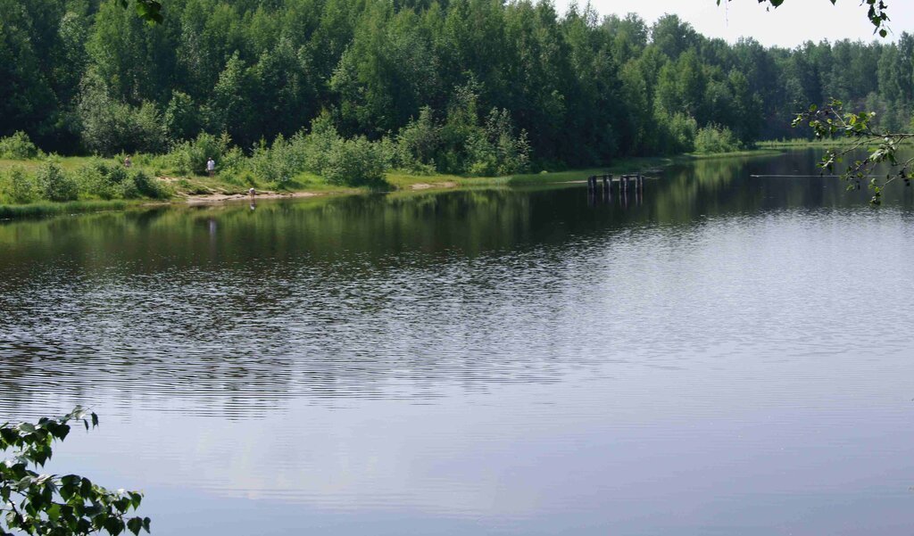 земля р-н Всеволожский снт Озерное-1 Куйвозовское сельское поселение, 10 фото 15