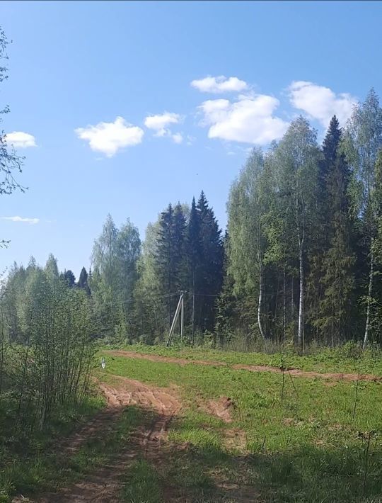 земля р-н Кирово-Чепецкий снт Сунчиха 2 садовое дачное товарищество, Федяковское с пос фото 2