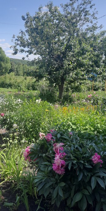 дом р-н Городищенский д Кологреевка ул Луговая фото 9