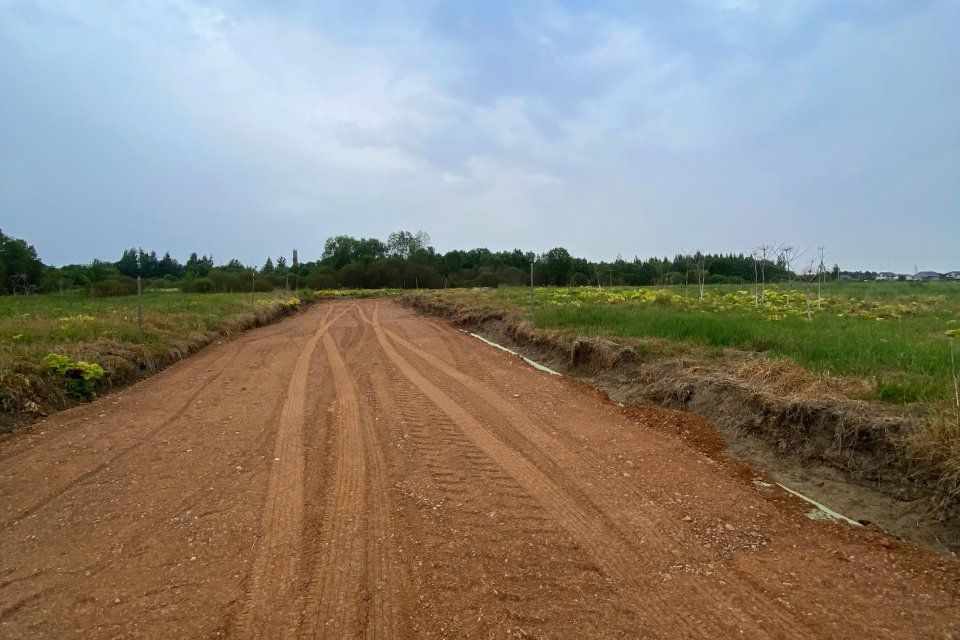 земля р-н Лужский фото 3