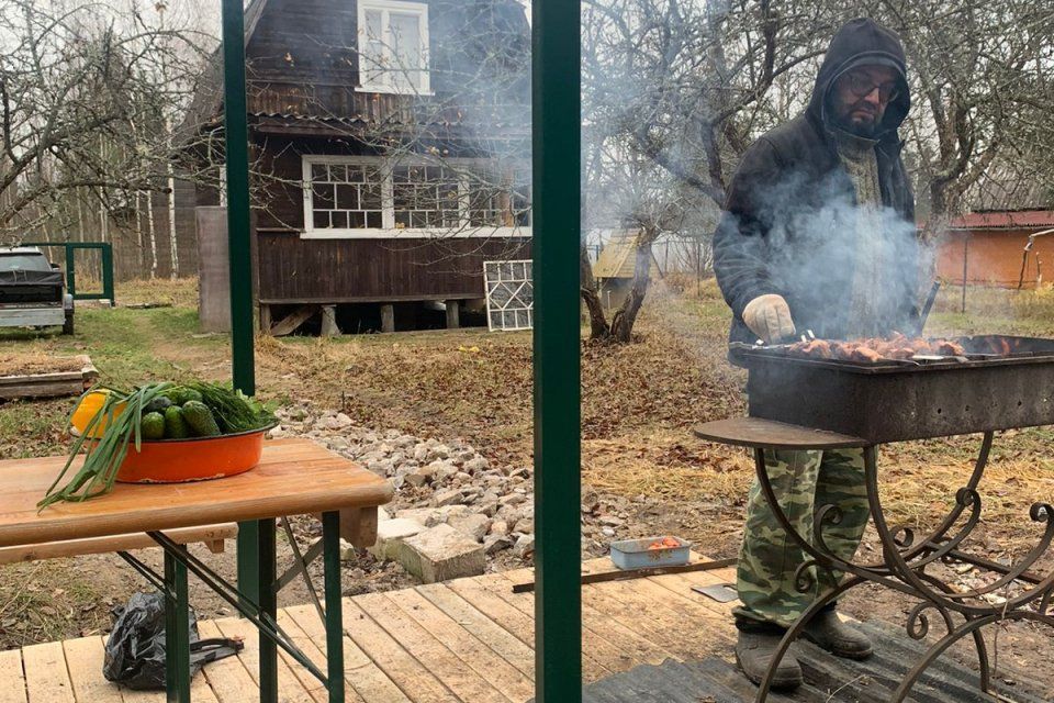 дом р-н Лужский фото 10