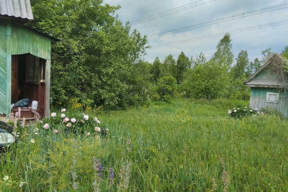 Продам участок в товариществе. СНТ тонус-1 Домодедово сайт. СНТ тонус 52 в японском стиле.