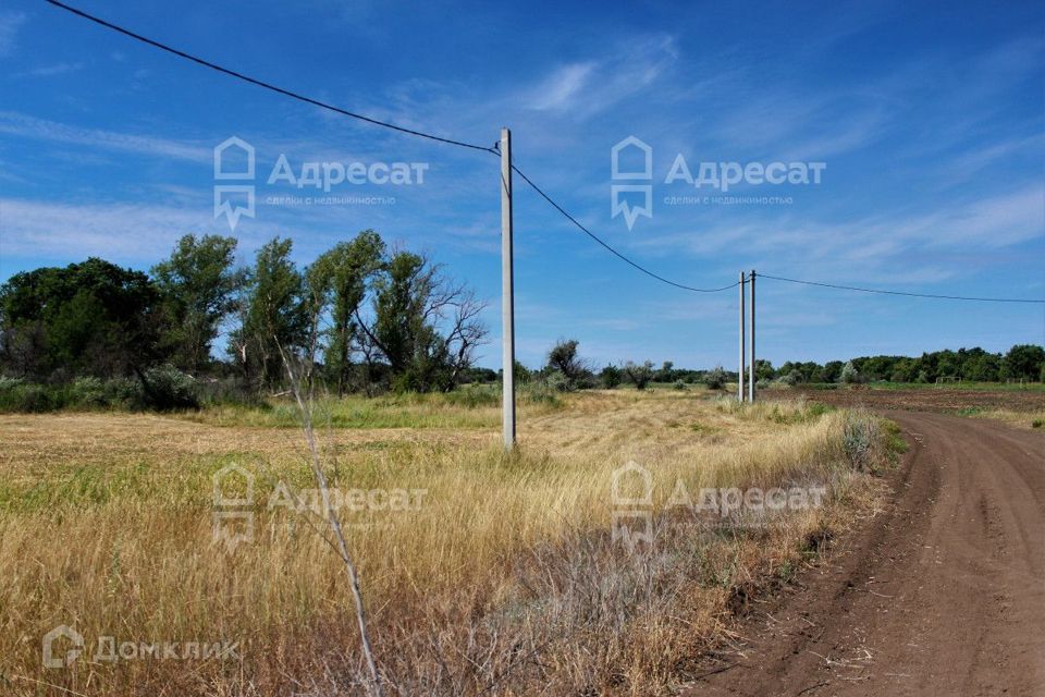 земля р-н Среднеахтубинский фото 6