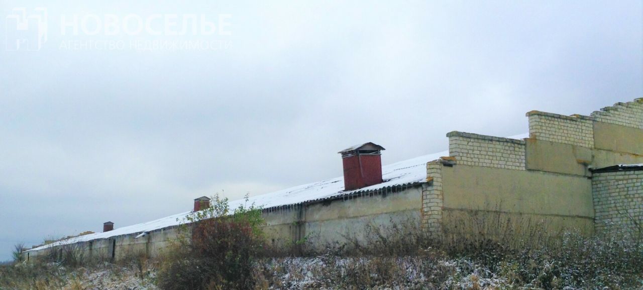 производственные, складские р-н Шиловский с Большие Пекселы Занино-Починковское с/пос фото 3