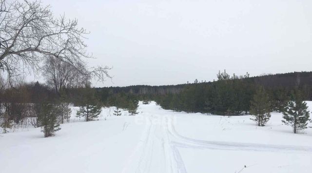 офис р-н Тюменский д Костылева фото