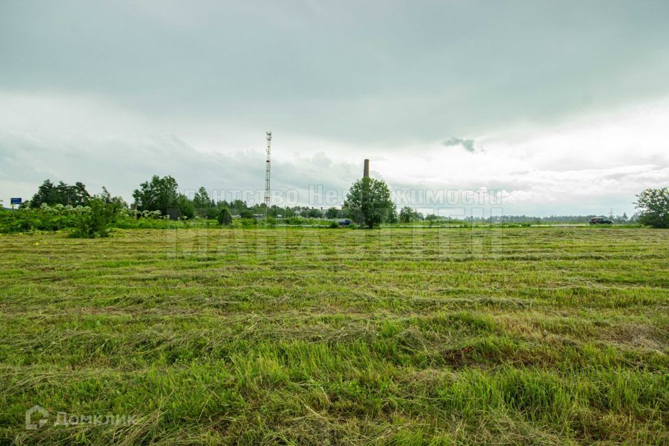 земля городской округ Наро-Фоминский д Скугорово ул Дачная фото 1