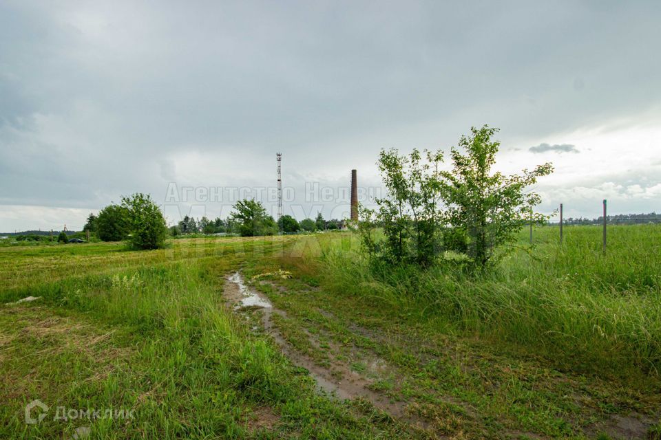 земля городской округ Наро-Фоминский д Скугорово ул Дачная фото 4