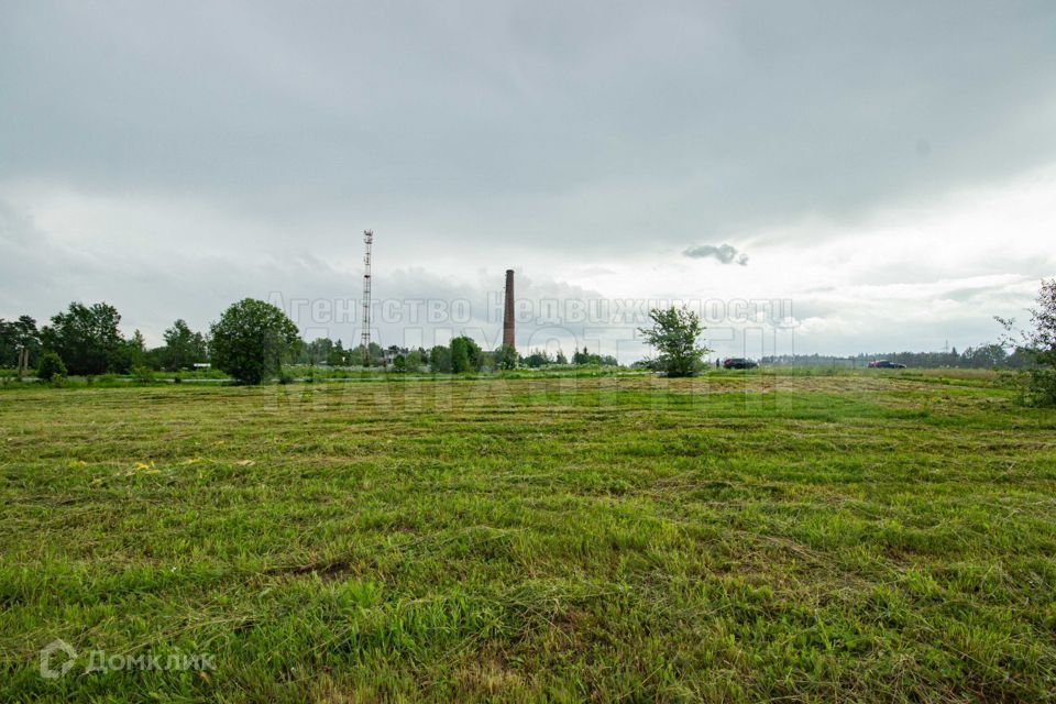 земля городской округ Наро-Фоминский д Скугорово ул Дачная фото 3