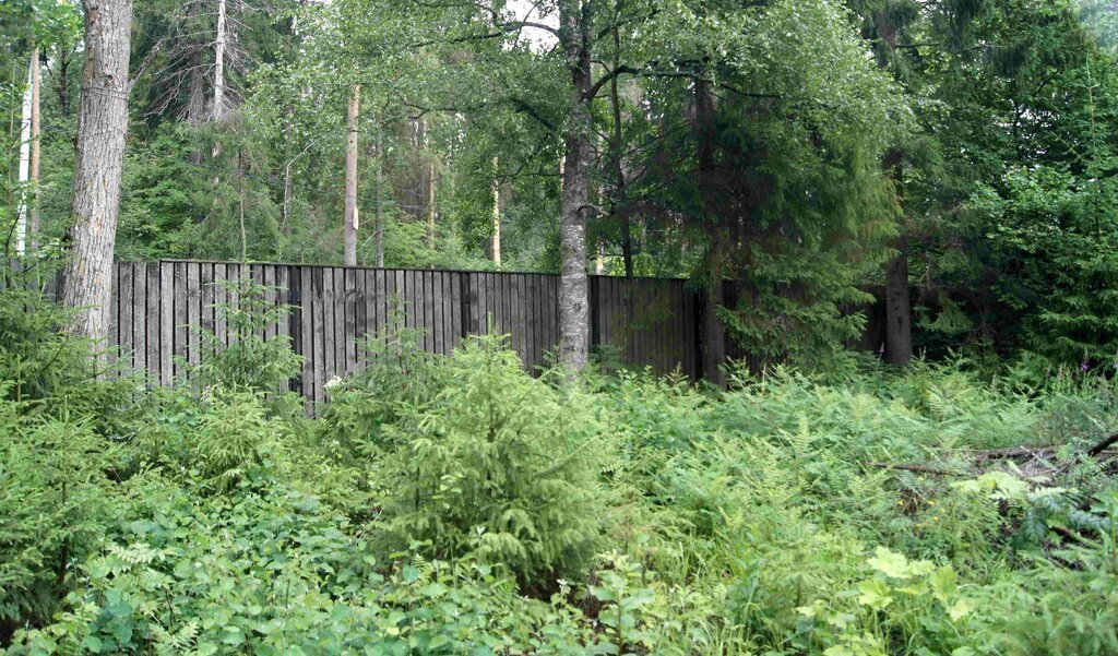 земля р-н Выборгский п Лебяжье Рощинское городское поселение фото 8