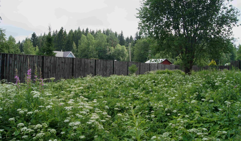 земля р-н Выборгский п Лебяжье Рощинское городское поселение фото 10