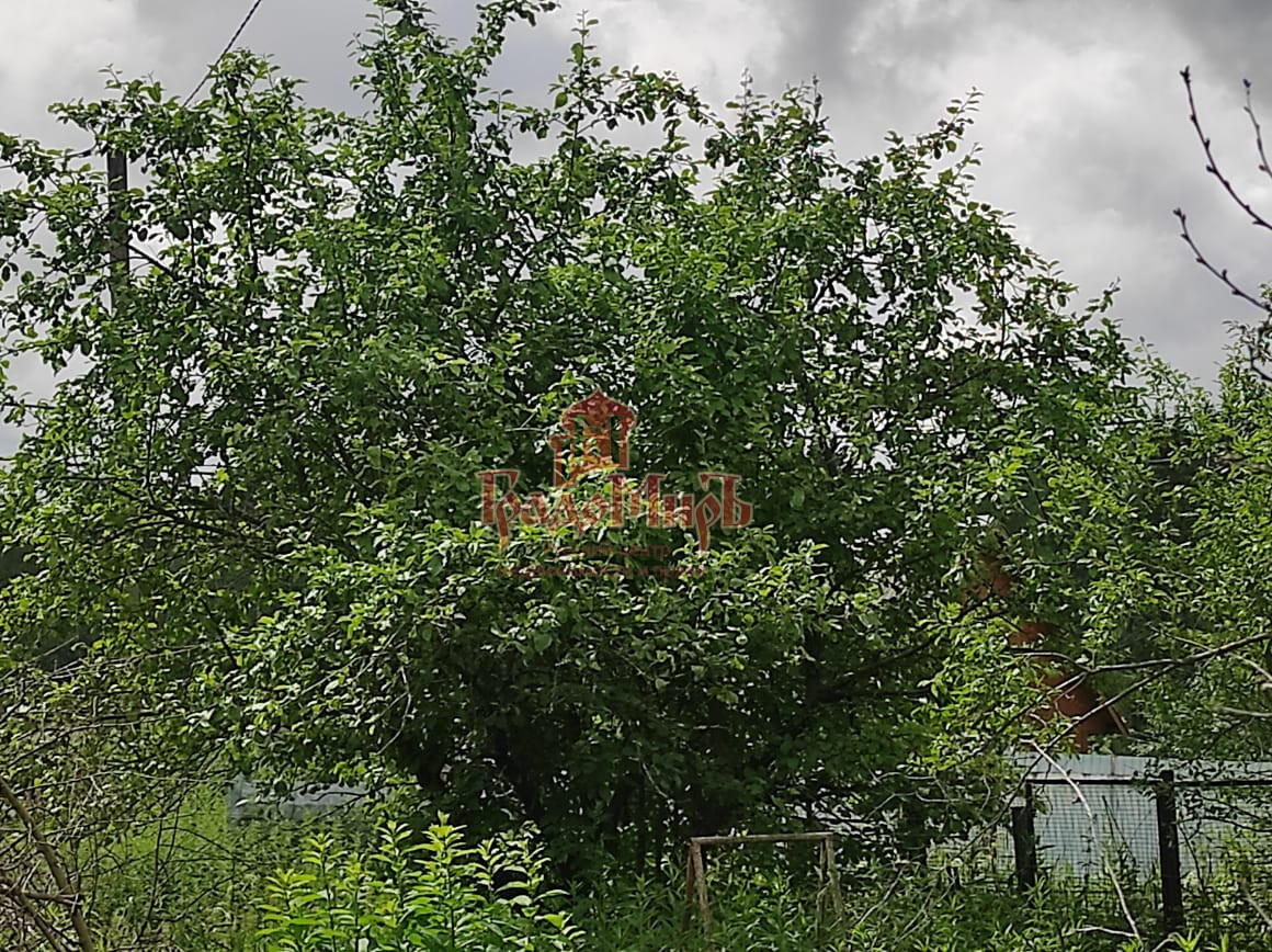 дом городской округ Коломенский п Запрудный ЛПХ фото 23