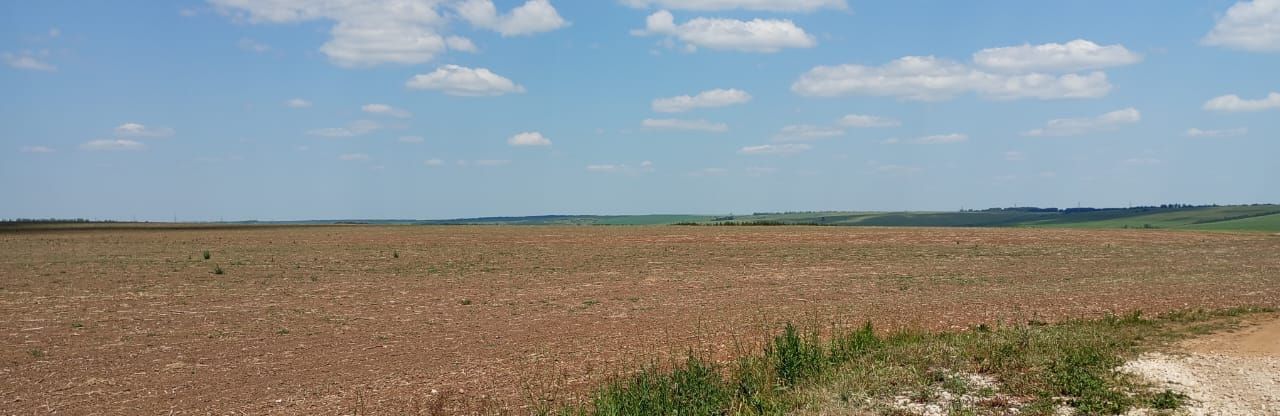 земля р-н Рыбно-Слободский с Шетнево-Тулуши фото 3