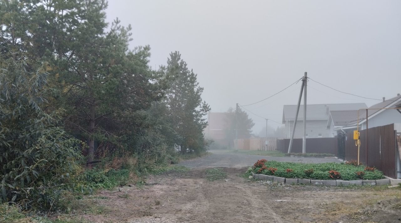 земля г Тюмень п Березняковский р-н Центральный ул. Березняковская, 19 фото 6