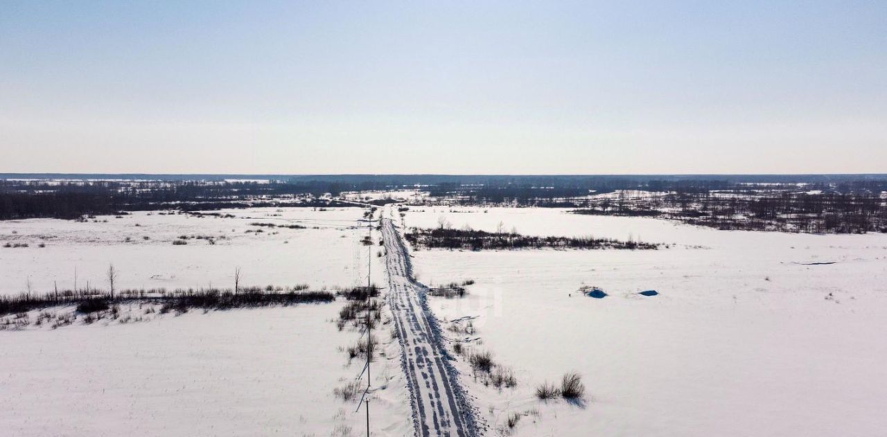 офис р-н Новгородский д Борки 1-я Шимская линия, Борковское с пос фото 2