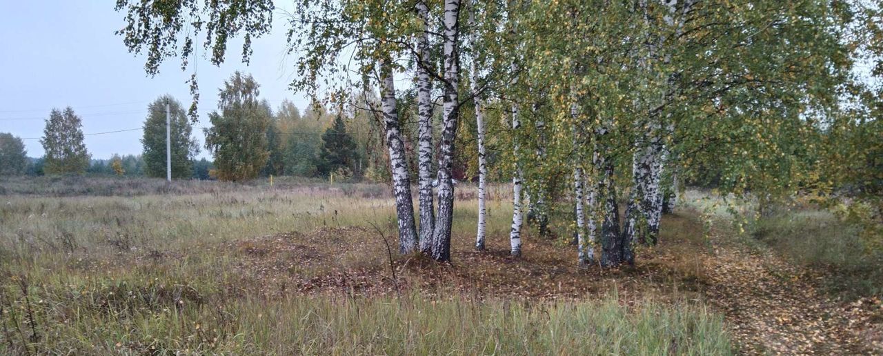 земля р-н Камешковский с Чистуха муниципальное образование Второвское, Боголюбово фото 6