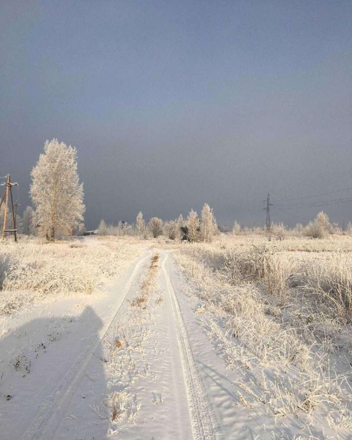 земля р-н Березовский тер ДНТ Луговое Есаульский сельсовет, Сосновоборск фото 10